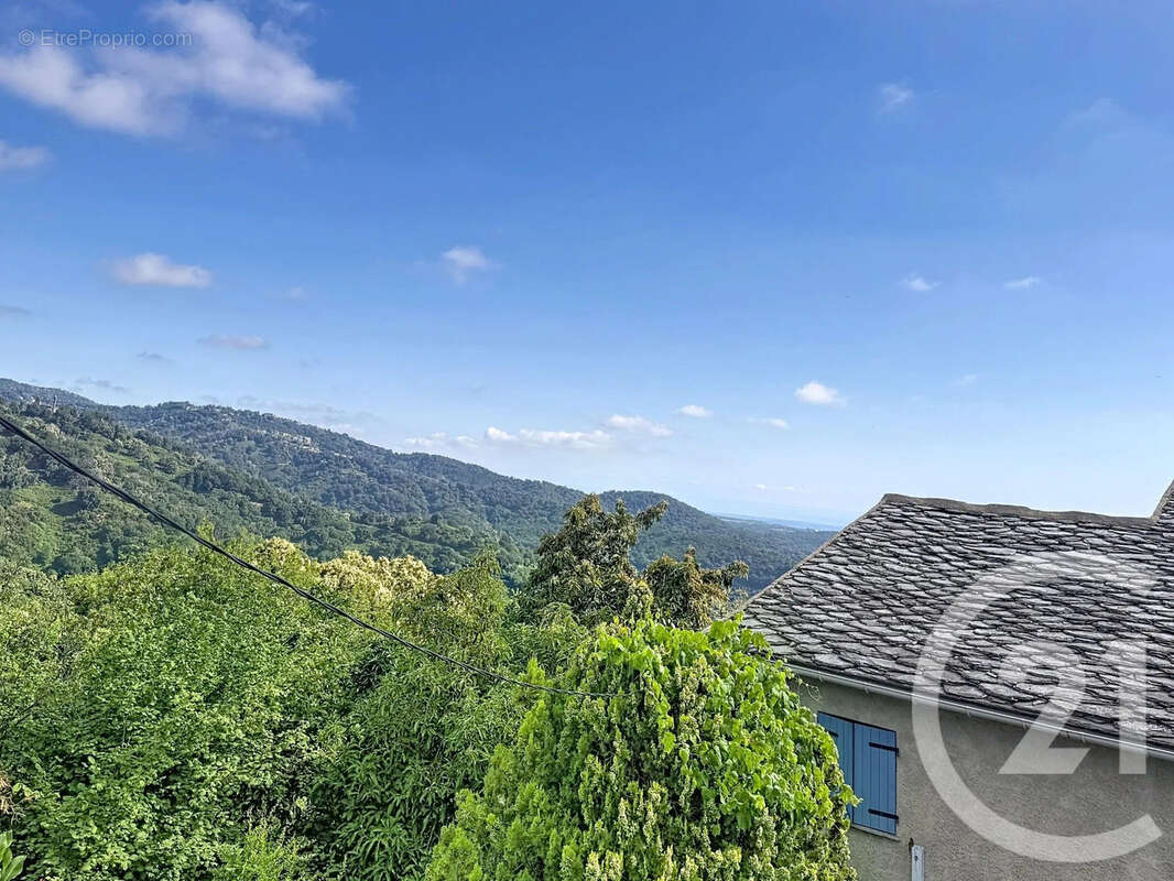 Maison 45 m² à San-Nicolao  - photo 17
