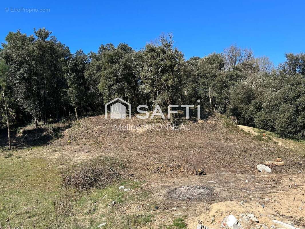 Photo 3 - Terrain à LONGEVILLE-SUR-MER