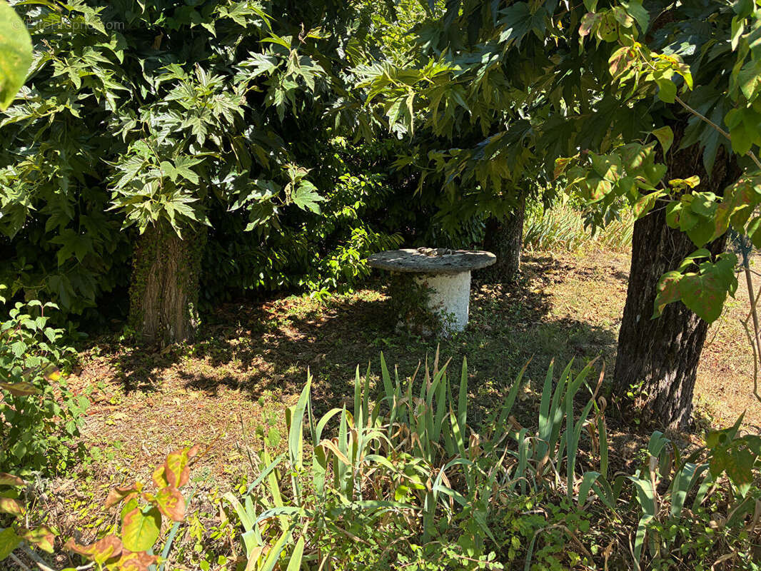 Maison à SAINTE-LIVRADE-SUR-LOT