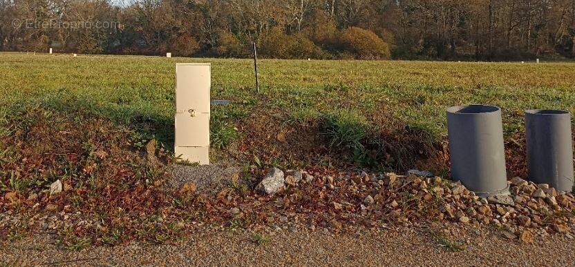 Terrain à ARTHON-EN-RETZ