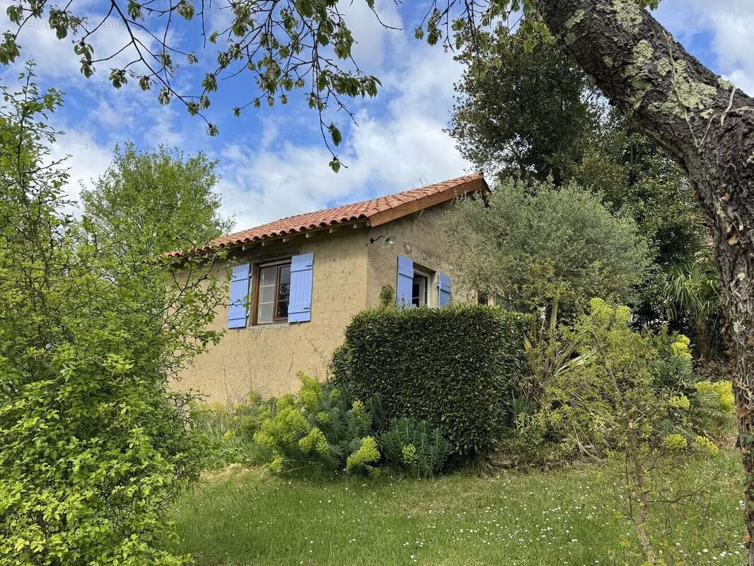 IMG2527 - Maison à LE BUISSON-DE-CADOUIN