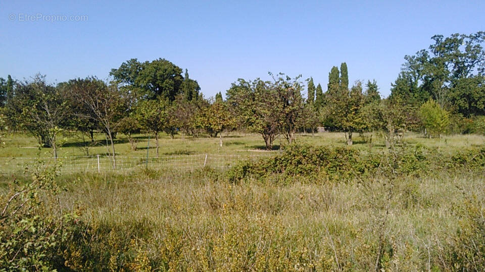 Terrain à VILLENEUVE-LES-AVIGNON