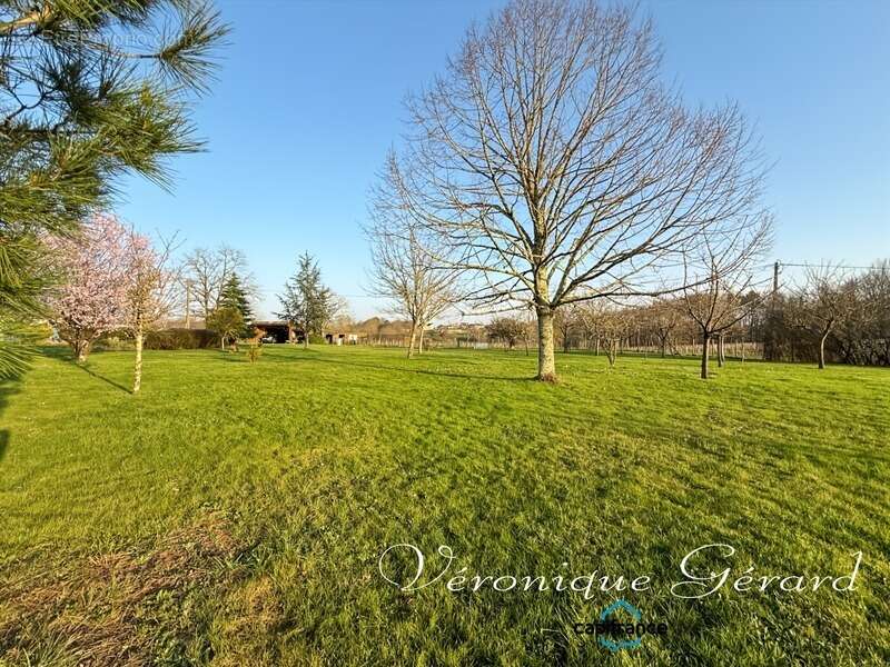 Maison de 134 m² de plain-pied, en pierre, sur plus de 5880 m² - photo 7