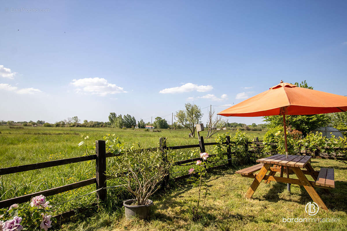 Maison au coeur des marais - 173 m² - Environnement calme et paisible - photo 13