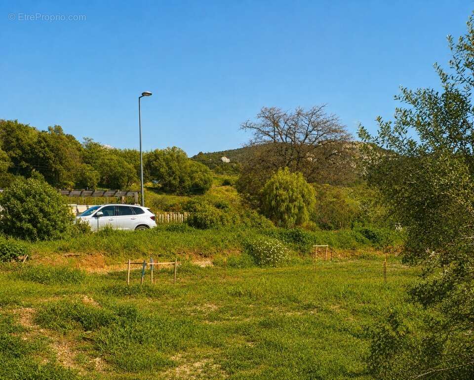 Terrain 478 m² à Hyeres  - photo 2