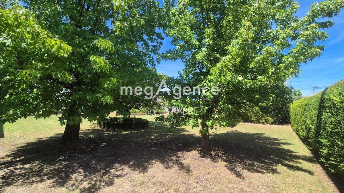Beau terrain plat et arboré - photo 2