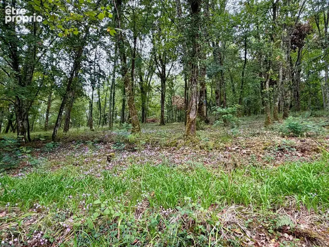 Maison de charme dans les bois - photo 4