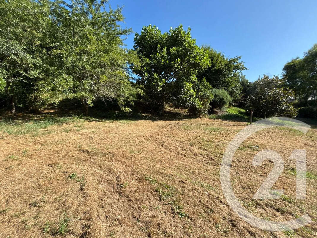 Maison à SAINT-ALBAN-D&#039;AY