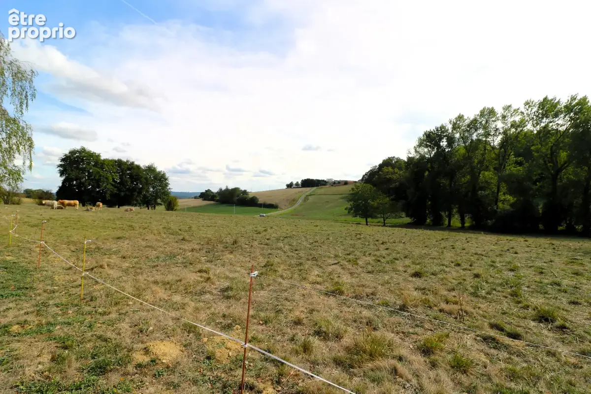 Charmante Ferme rénovée à haute performance énergétique, terrain 10628m2, piscine, dépendances - photo 36