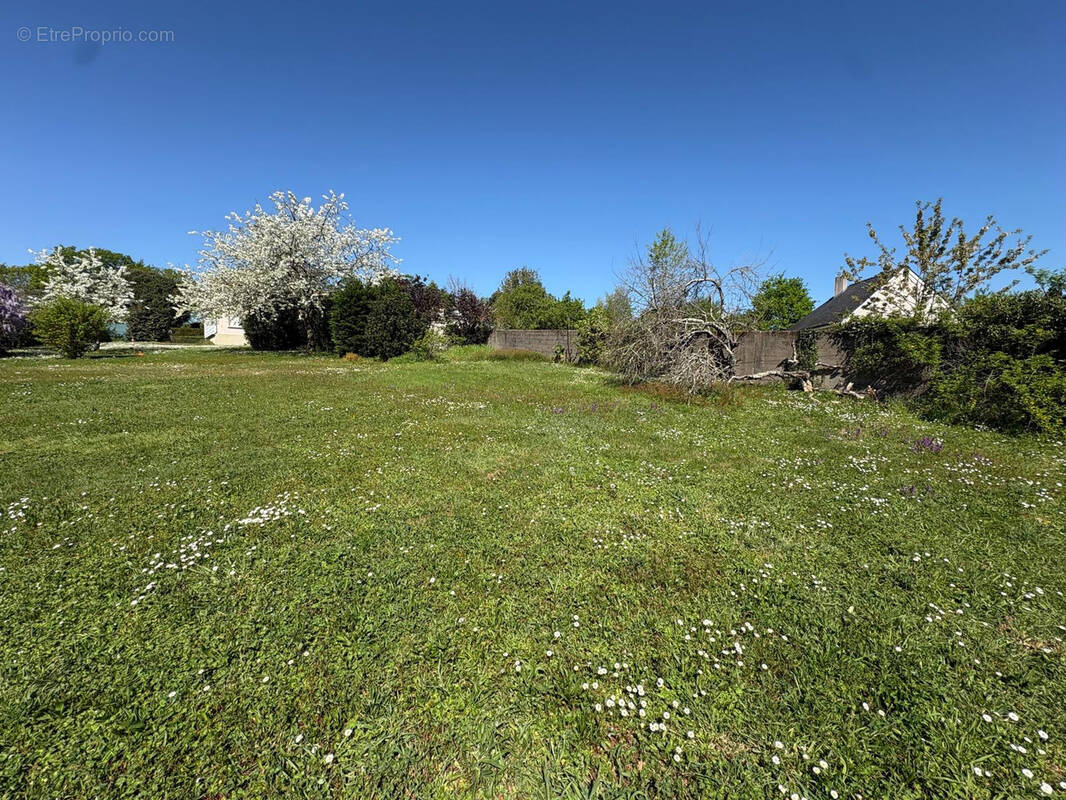 Terrain à SUCE-SUR-ERDRE