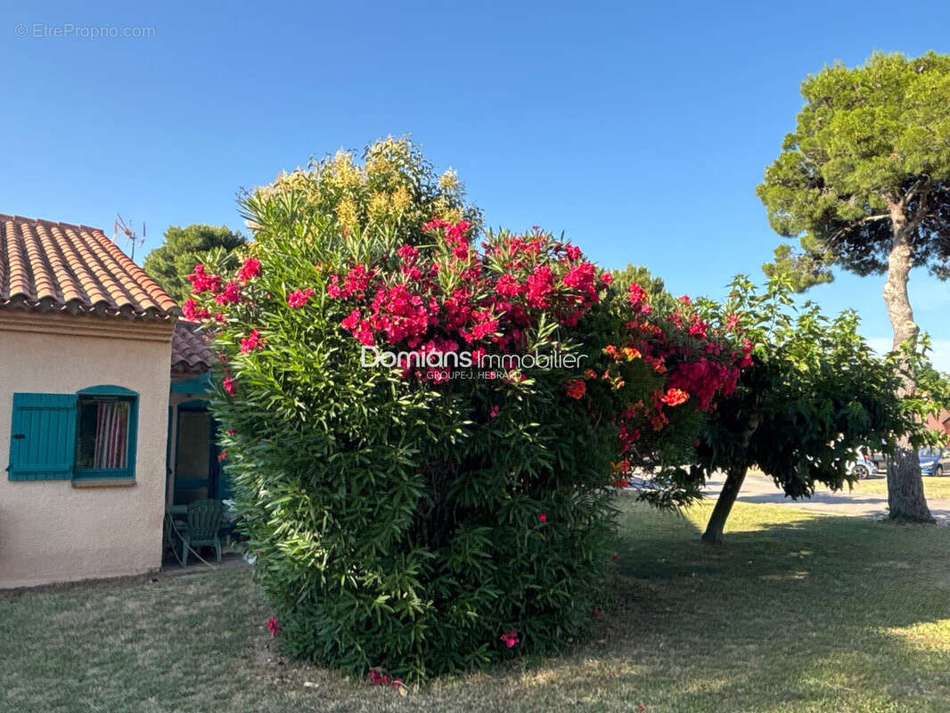 Appartement 29 m² à Argeles-Sur-Mer  - photo 5