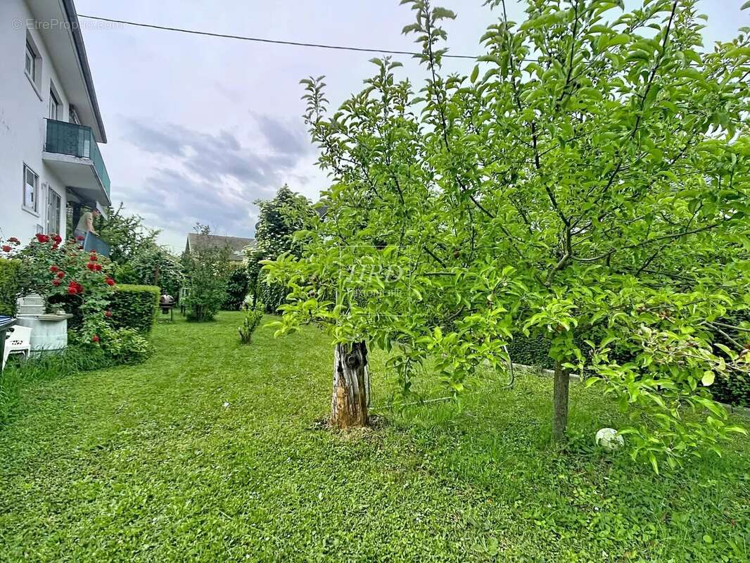 Appartement à MARLENHEIM
