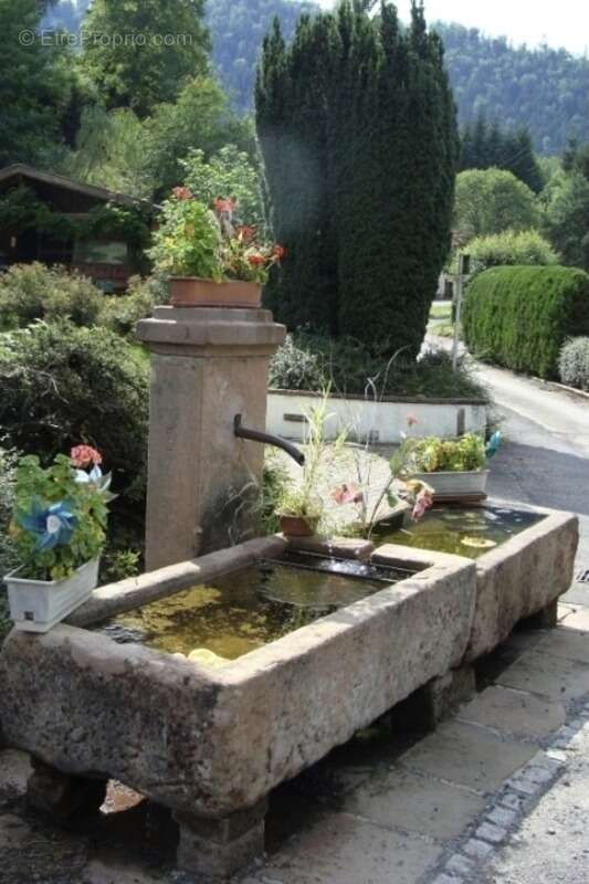 Appartement à SCHIRMECK