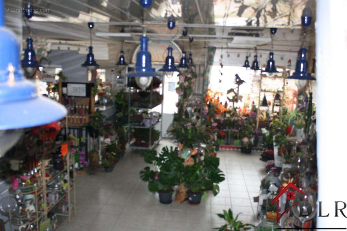 Commerce à CHALINDREY