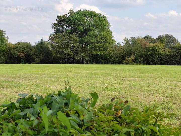Maison à LES AULNEAUX