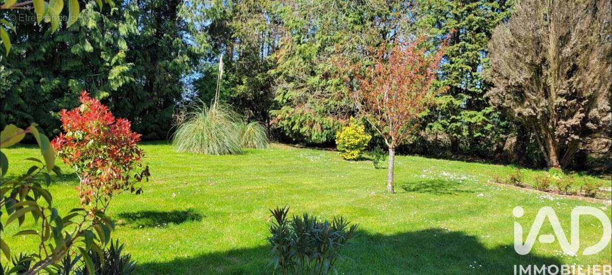 Maison 105 m² à Trouville-La-Haule  - photo 3