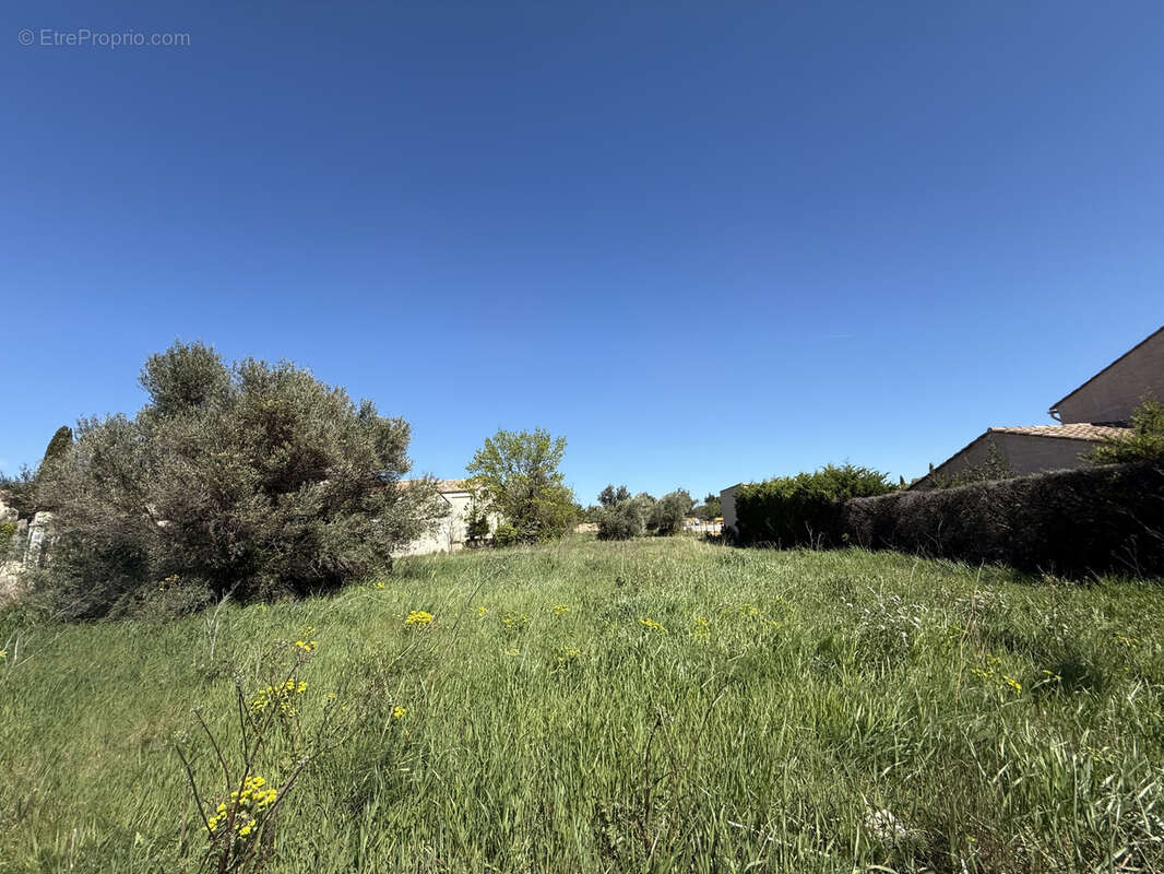 Terrain à MONTPEYROUX