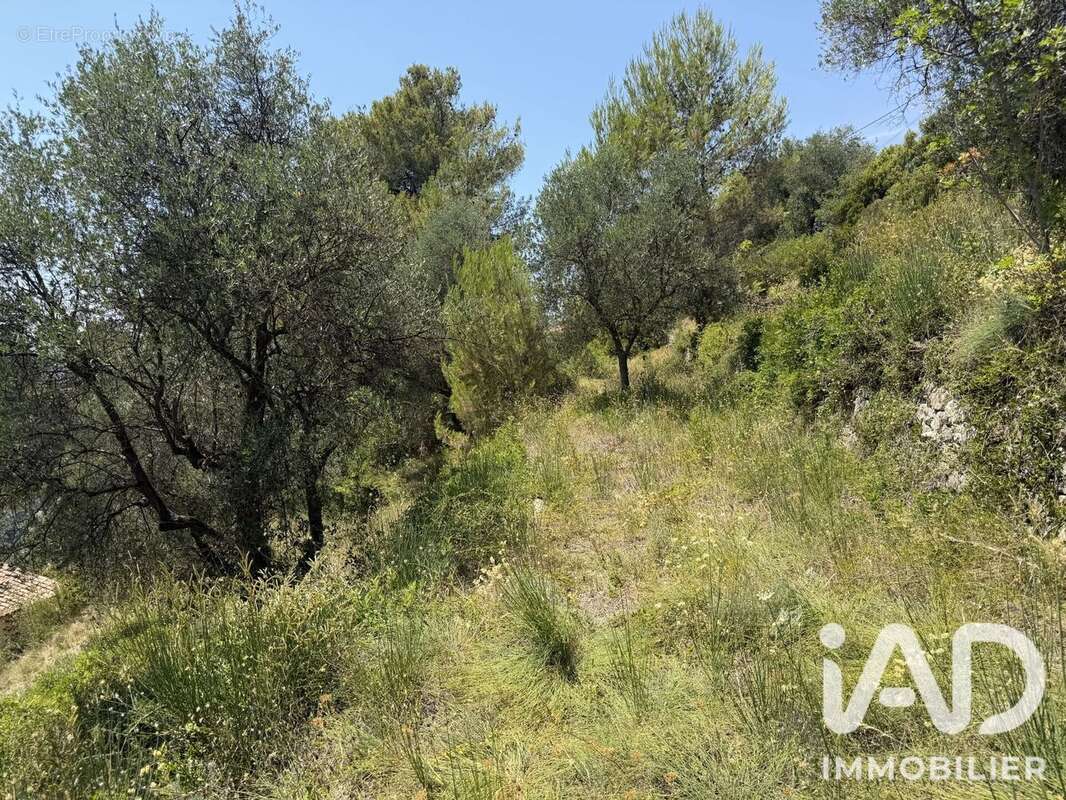 Terrain 2492 m² à Drap  - photo 7