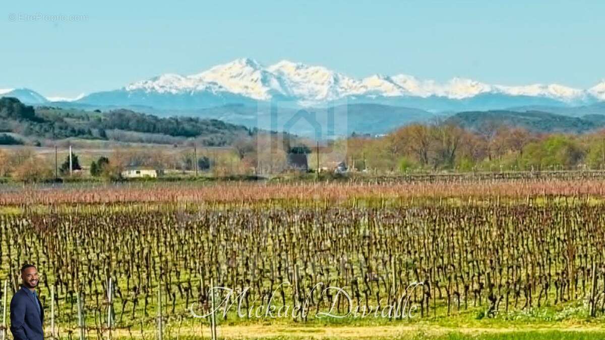 Maison de plain-pied Entre vallée et vignes a Pomas - photo 7