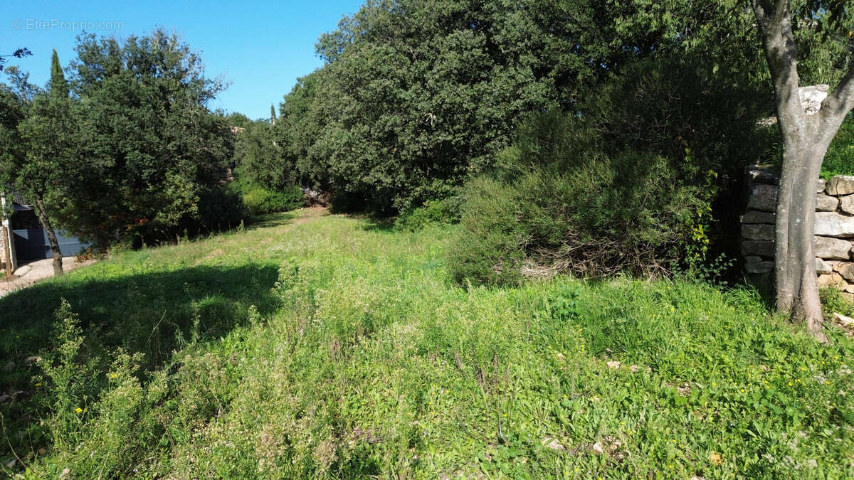 Terrain à PUECHABON