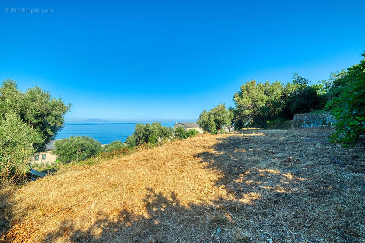 Terrain à BRANDO