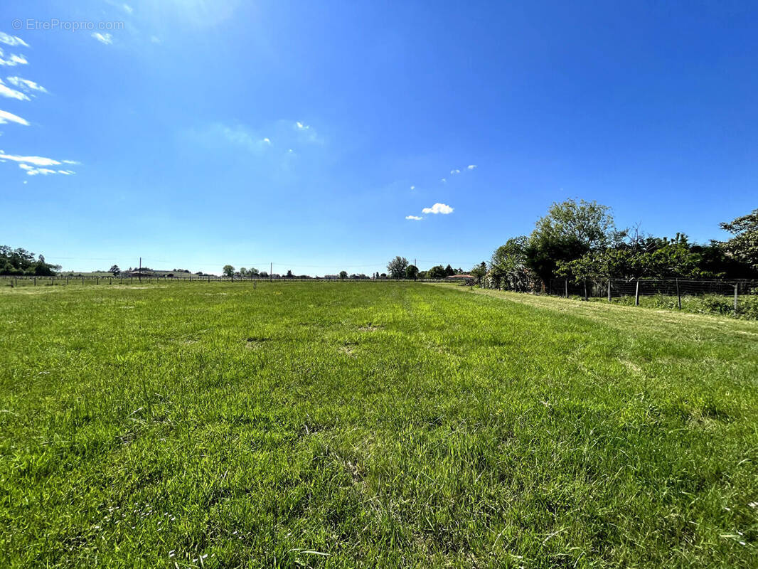Terrain à BLAYE