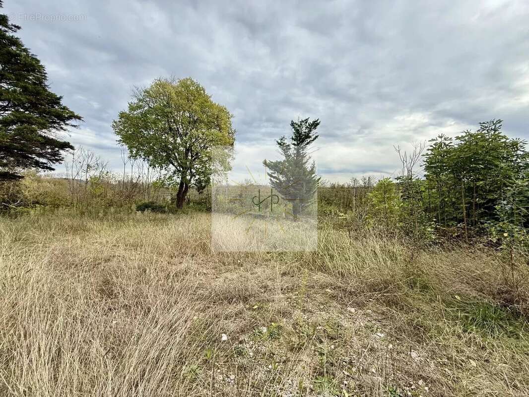 Terrain à MONTELIMAR