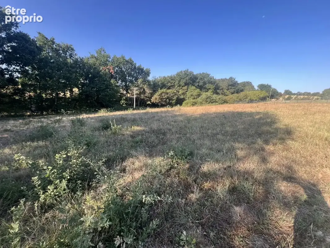 Terrain de 2736 m2 gimont - photo 2