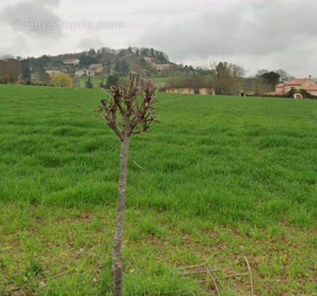 Terrain à ALBI