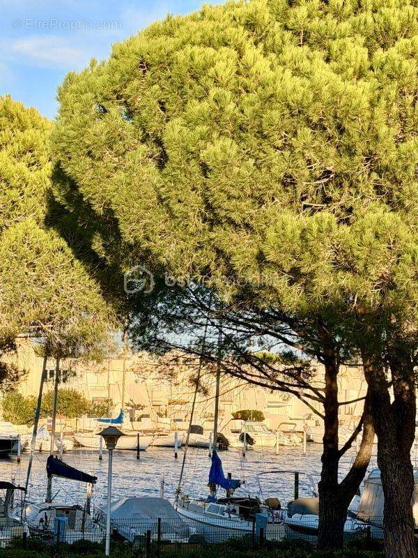 Appartement à LE GRAU-DU-ROI