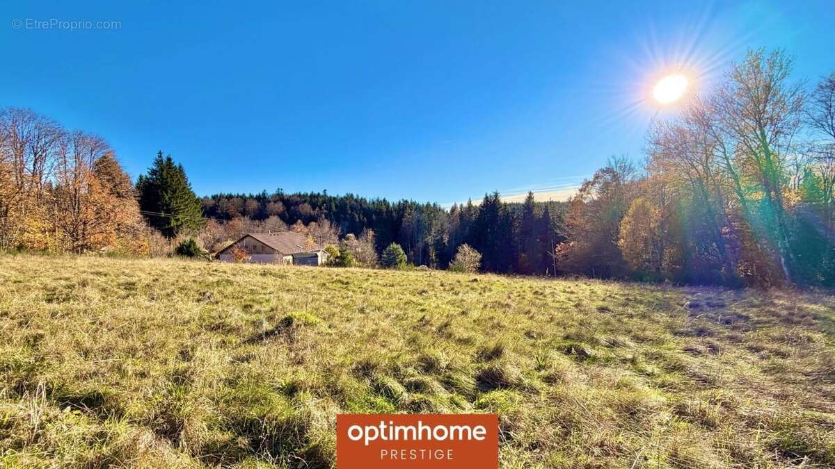 Domaine – 268 m² – 6 chambres et 6 salles de bain – Terrain 8 730 m² – Proche Gérardmer – Champdray - photo 32