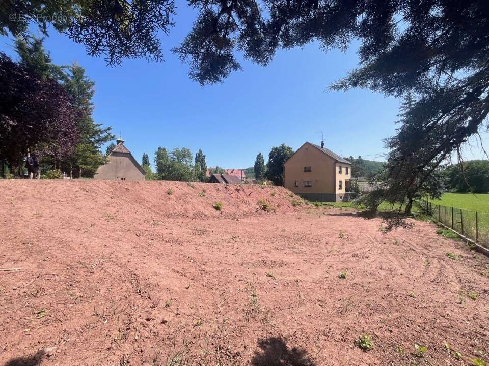 Terrain à DINSHEIM-SUR-BRUCHE