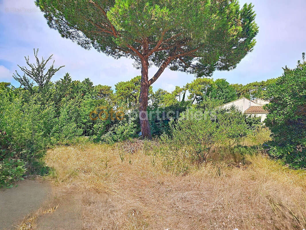 Maison à RIVEDOUX-PLAGE
