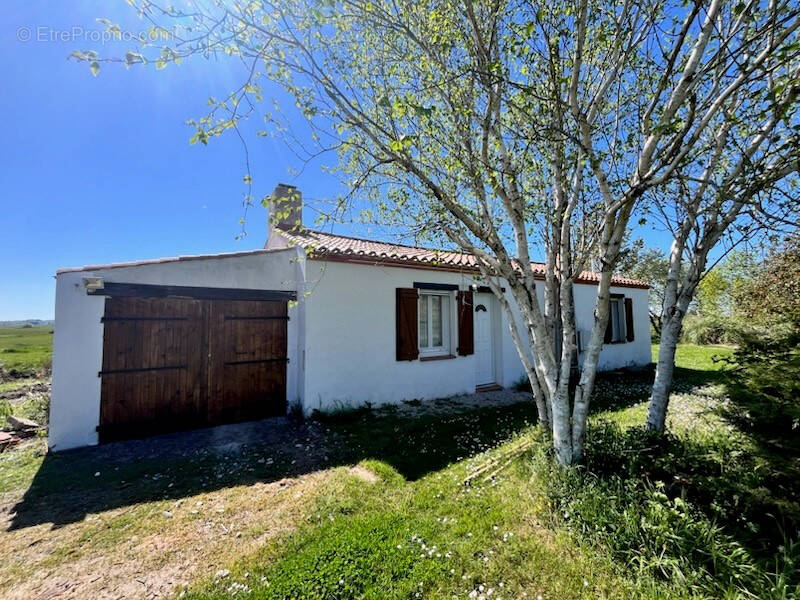 Maison à BOIS-DE-CENE