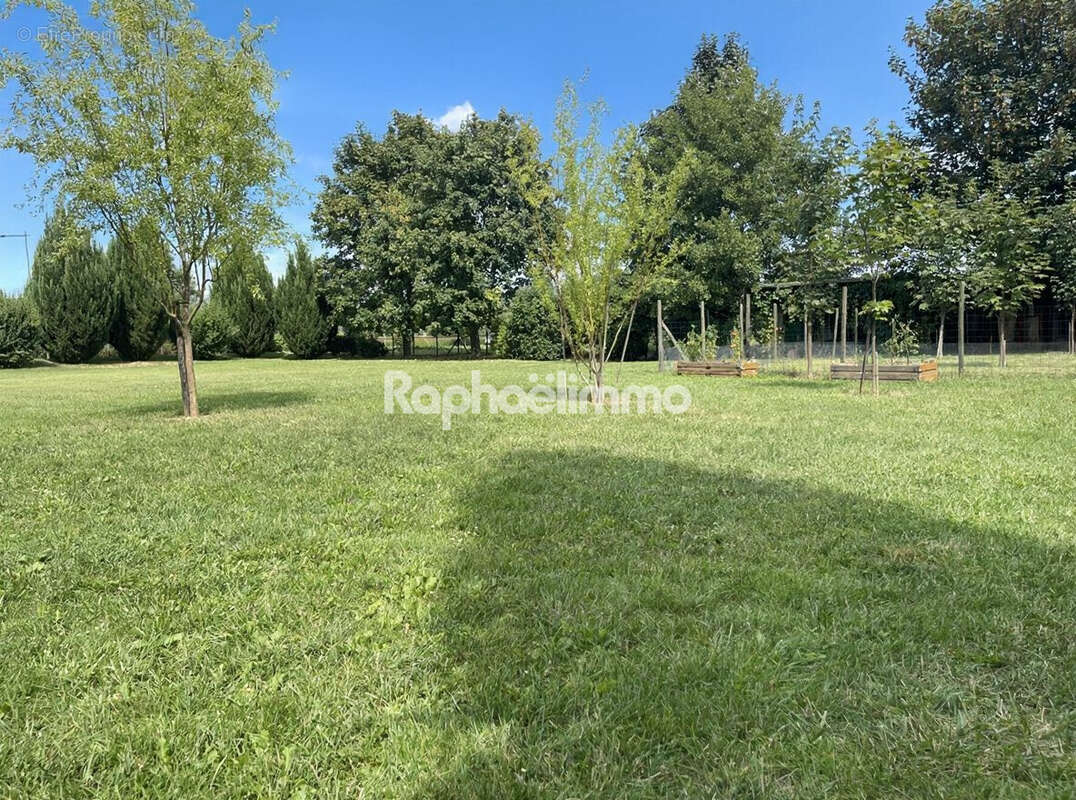 Terrain à SCHNERSHEIM