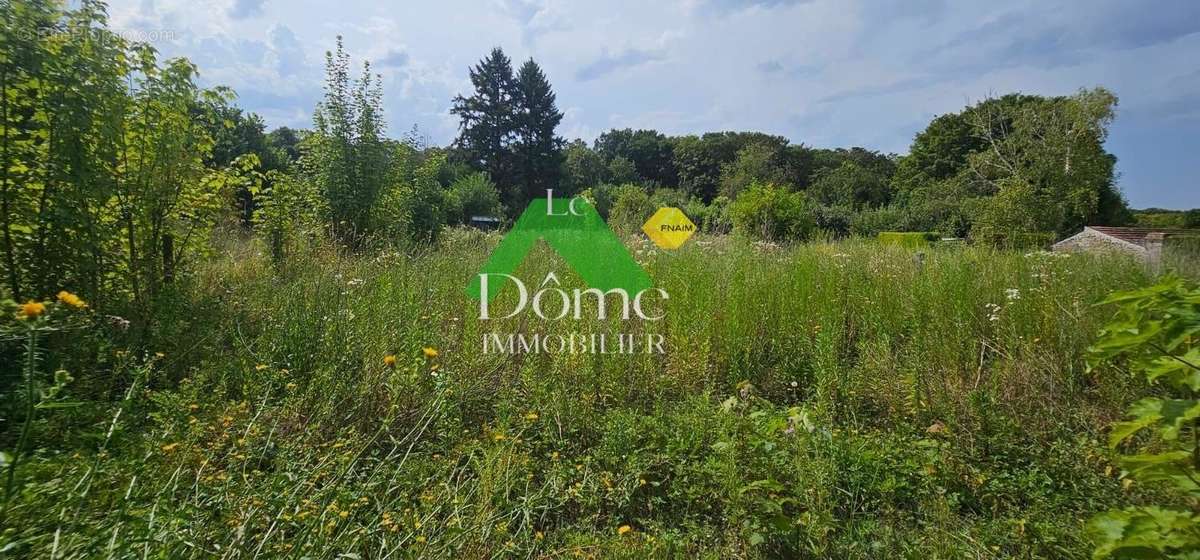 Terrain à VALLANGOUJARD
