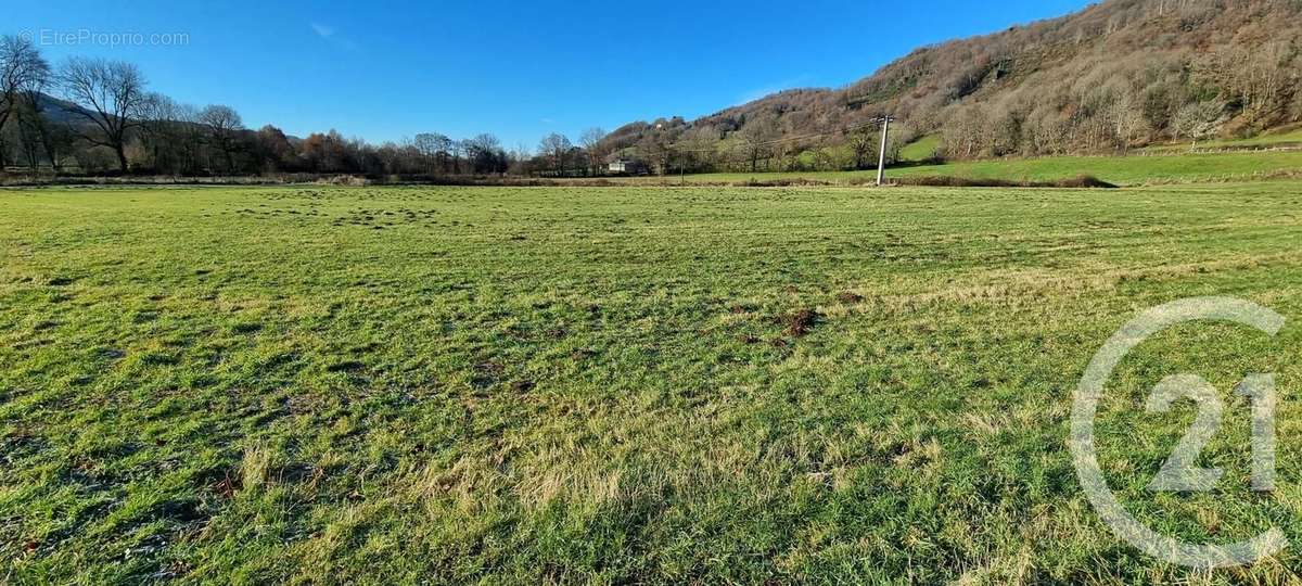 Terrain à VIC-SUR-CERE