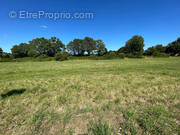 Terrain à REDON