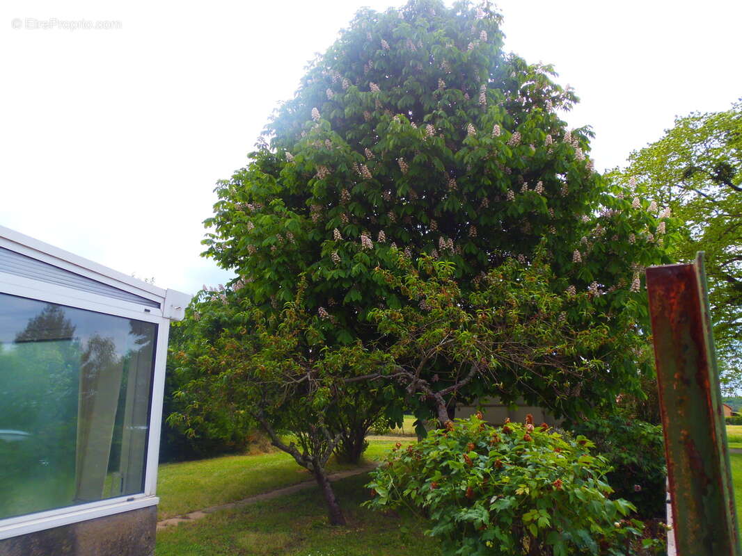 Maison à CREZANCAY-SUR-CHER
