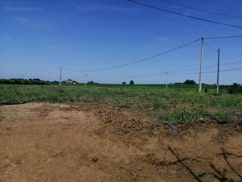 Terrain à DOULEZON