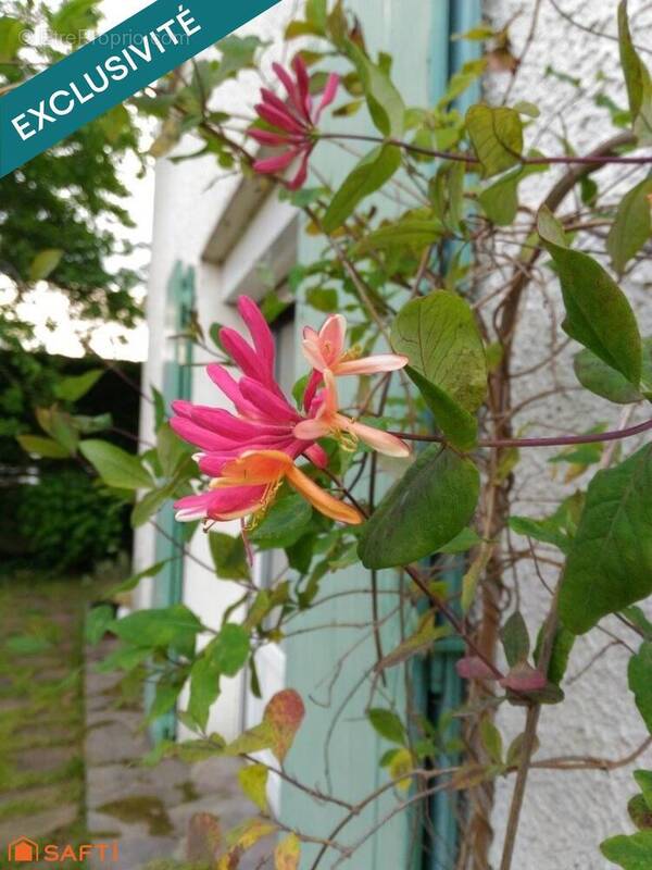 Photo 1 - Maison à BOURG-LA-REINE