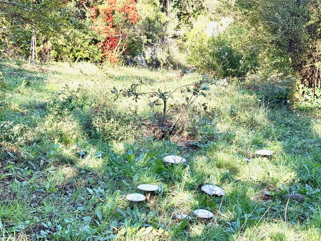 Maison ancienne avec potentiel   Terrain plat XXL et dépendances - photo 7