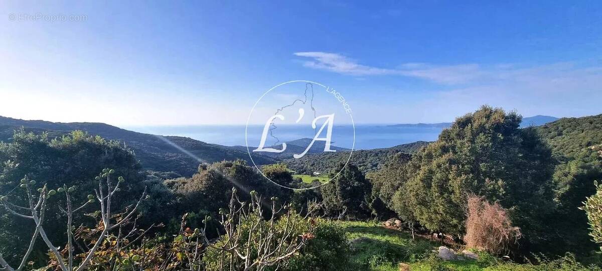 Terrain à COTI-CHIAVARI