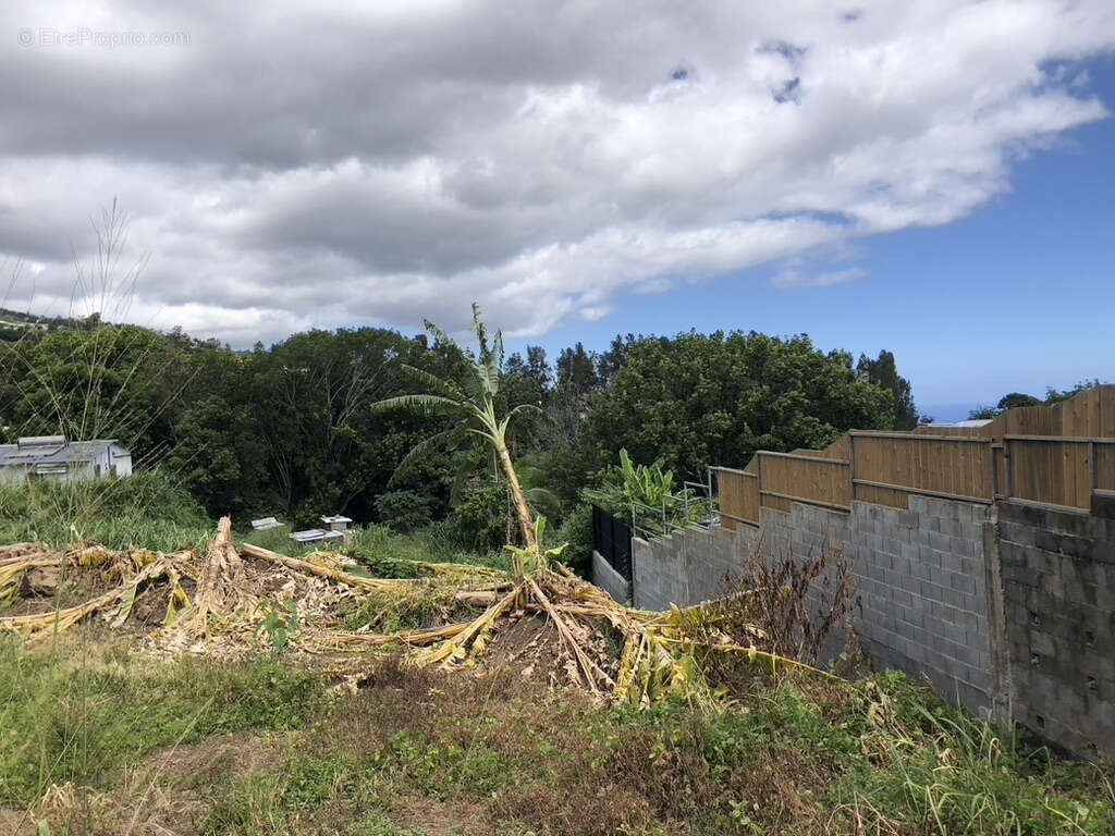 Terrain à SAINT-DENIS