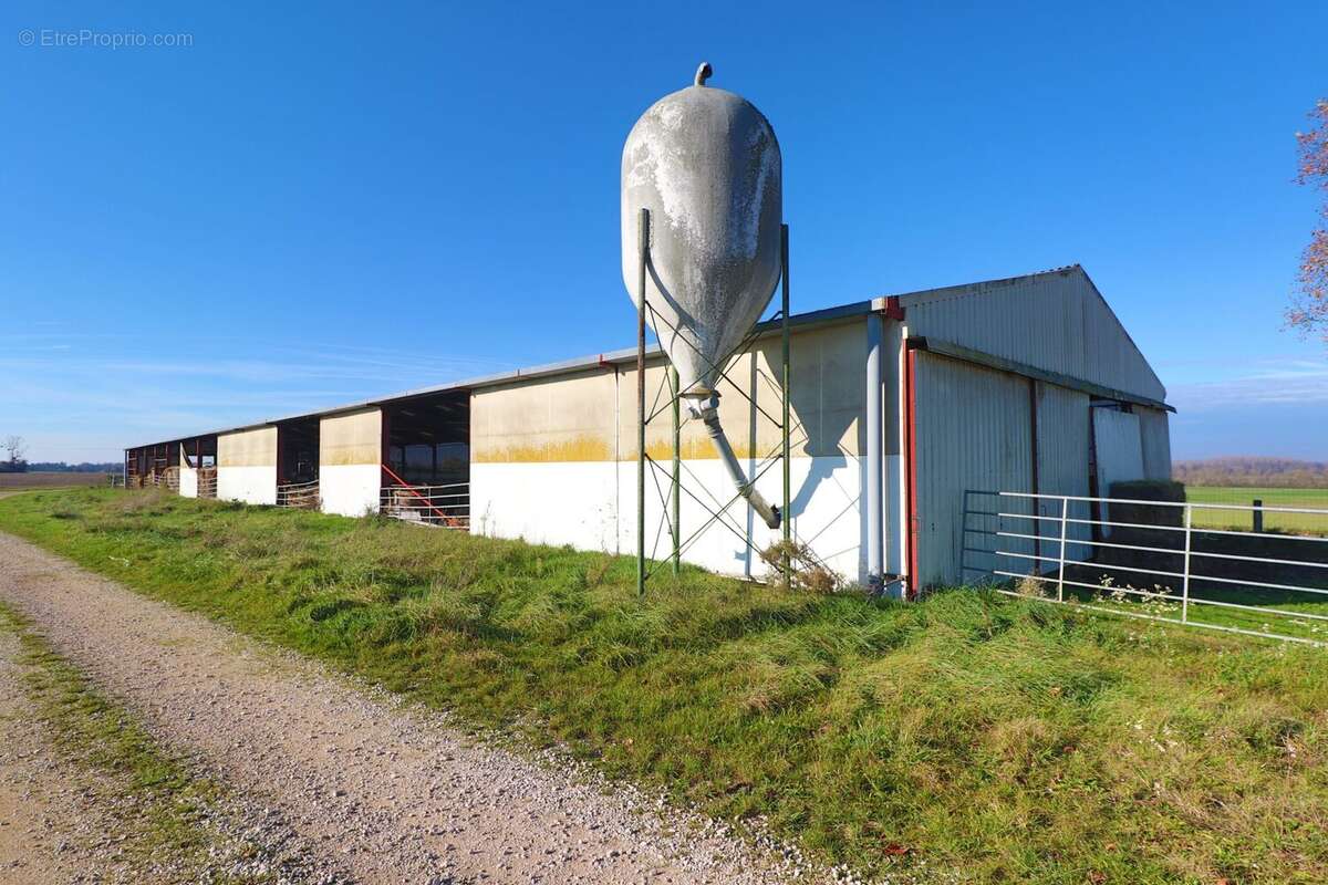 Commerce à SAINT-JEAN-DE-LOSNE
