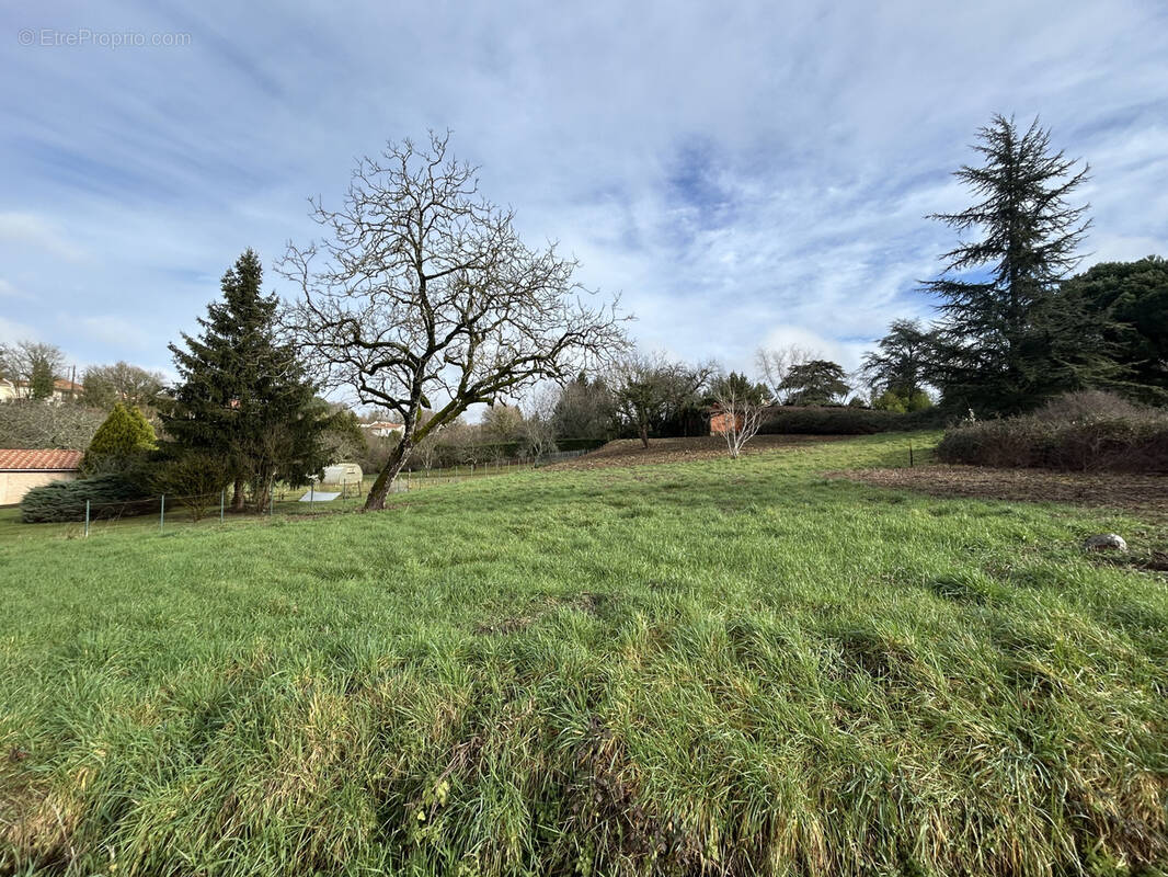Terrain à SAINT-CLAUD