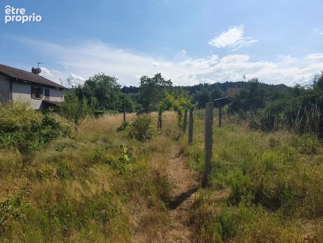 Maison 7 pièces 155 m² à vendre à Thiaville-Sur-Meurthe (54120) - photo 7