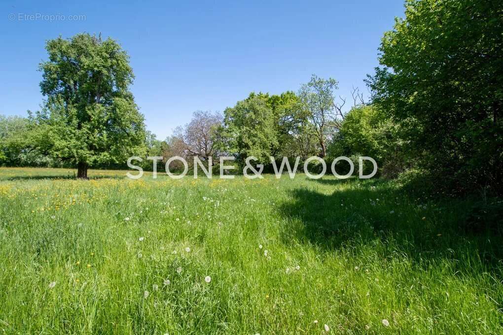 Terrain à ECHENEVEX