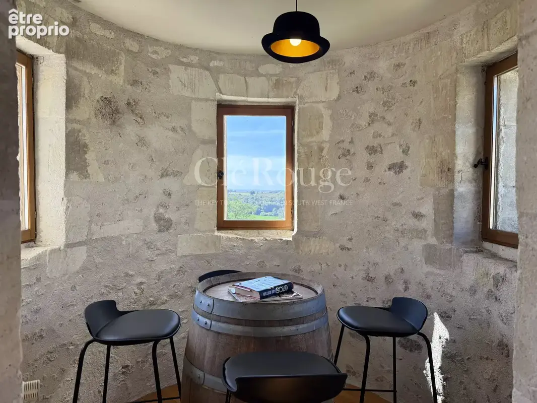 Entre Eymet et Marmande - Château à tourelles du XIXe entièrement restauré, piscine chauffée et 2,7 ha - photo 35