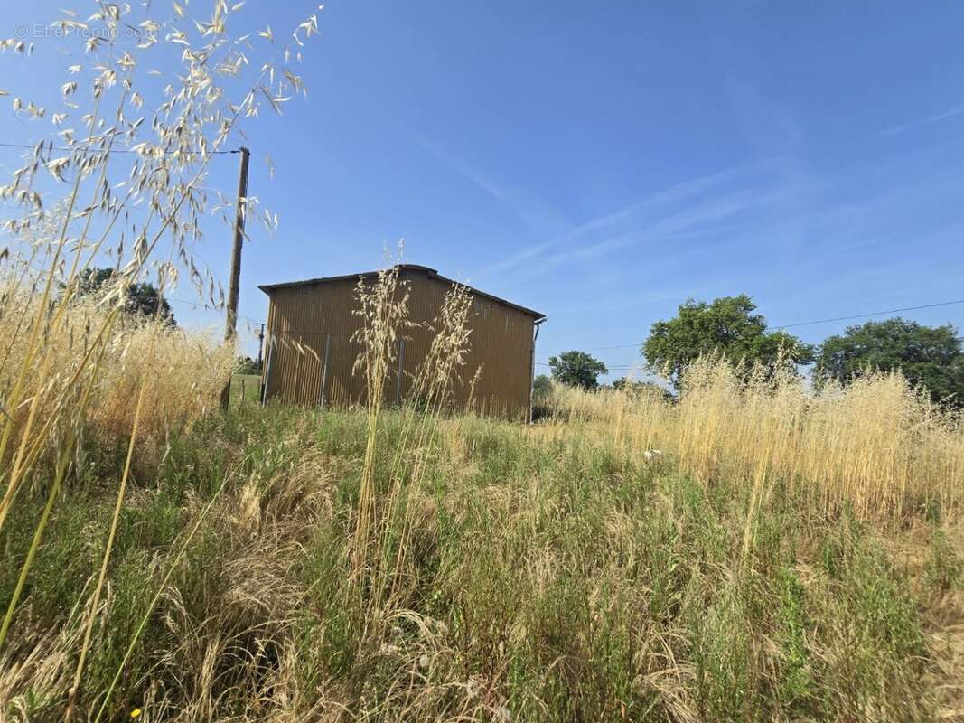 Sauveterre - batiment de 180m² - photo 5